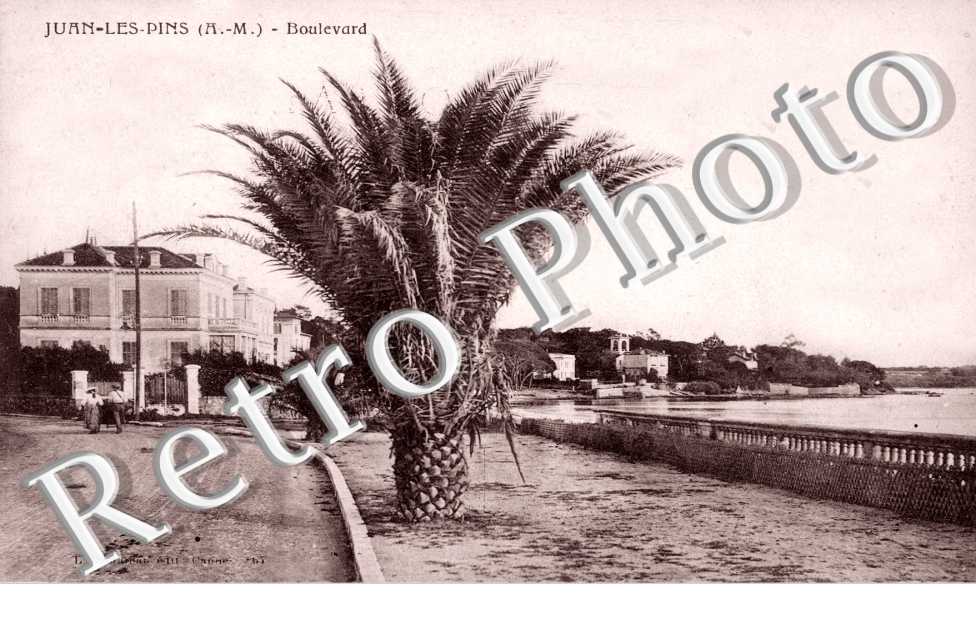 Boulevard