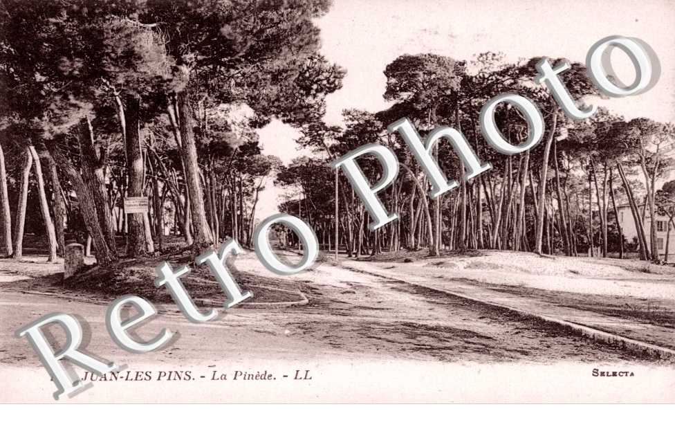 la Pinede