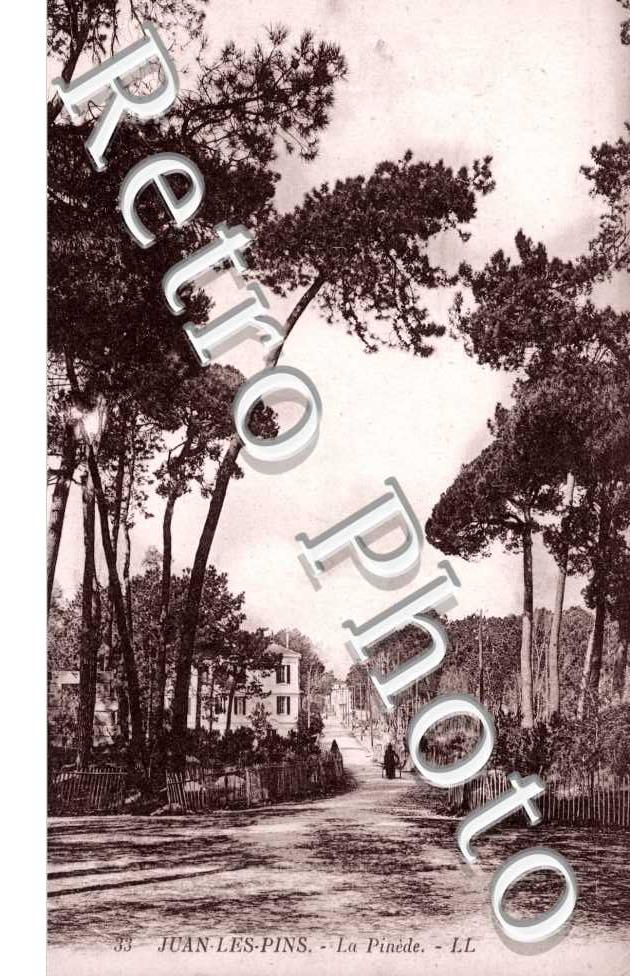 La Pinede
