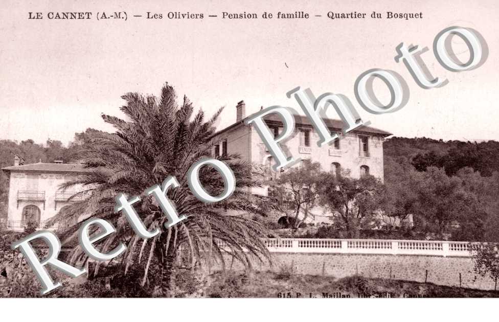 les Oliviers, pension de Famille, Quartier du Bosquet