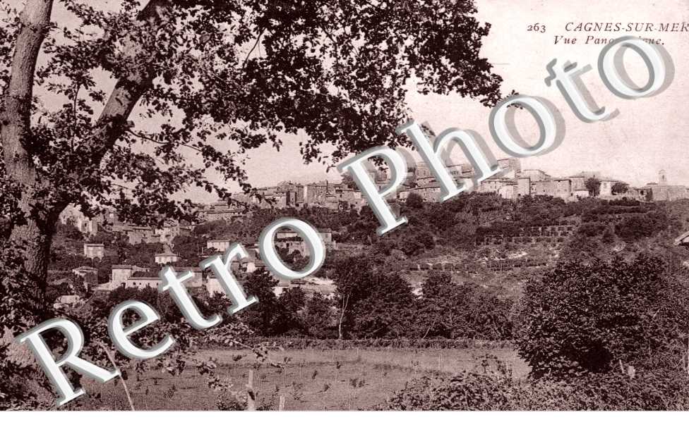 vue panoramique