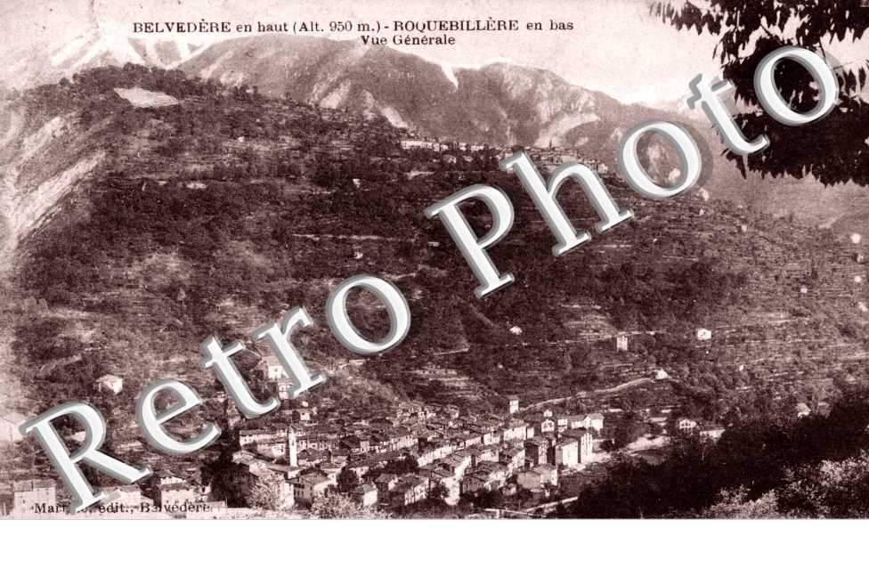 Roquebillere - Vue generale (Roquebilliere en bas)