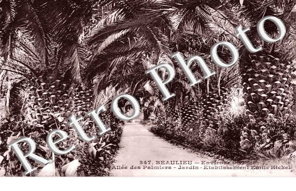 Allee des Palmiers