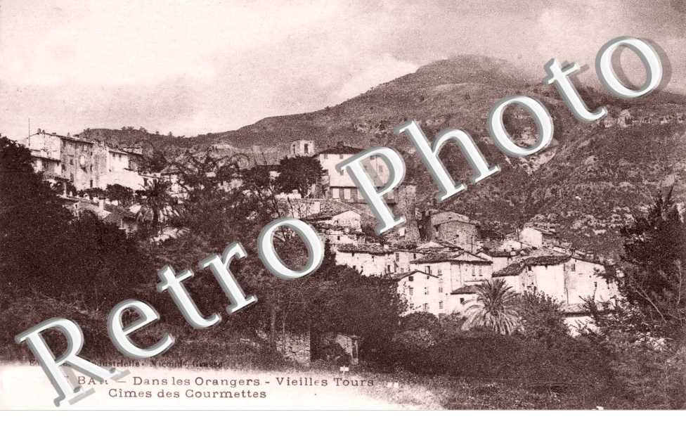Dans les orangers - vieilles tours - cimes des Courmettes
