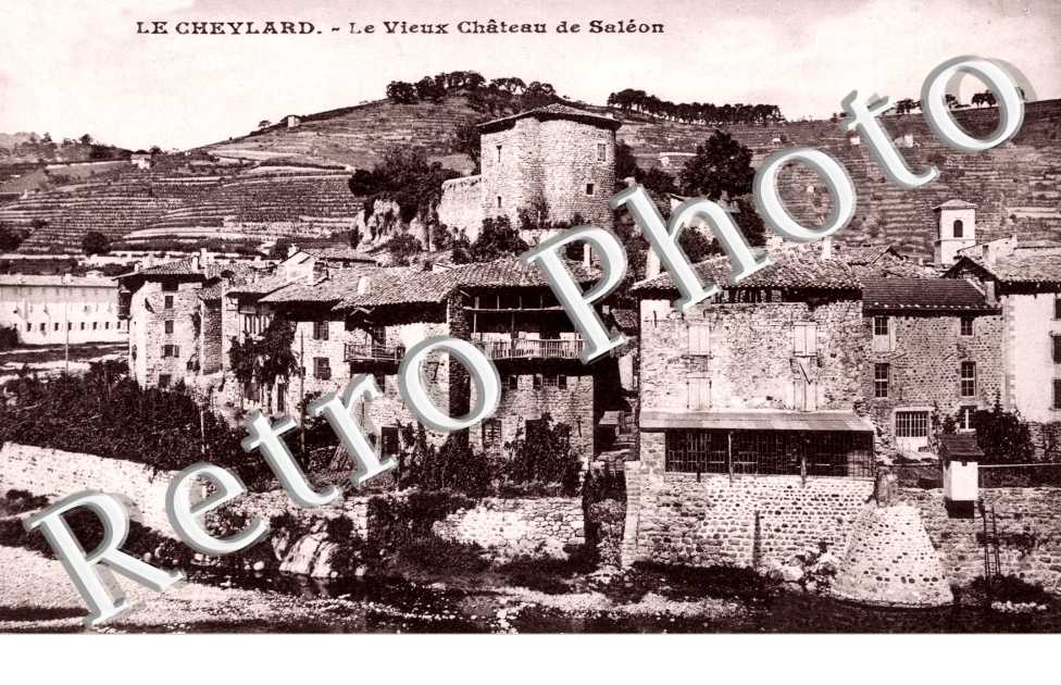 le Vieux Chateau de Saleon