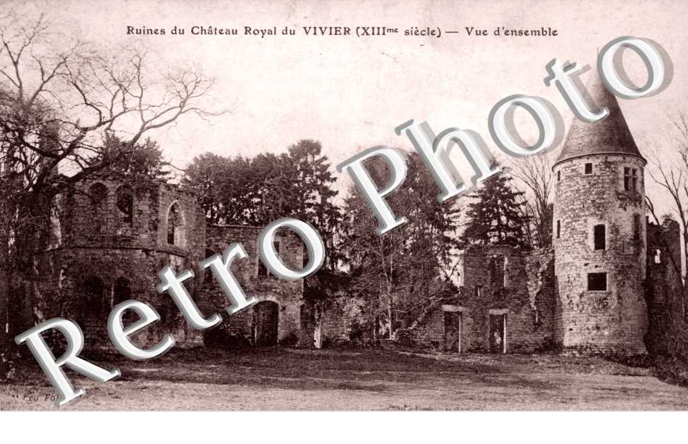 ruines du chateau royal du Vivier