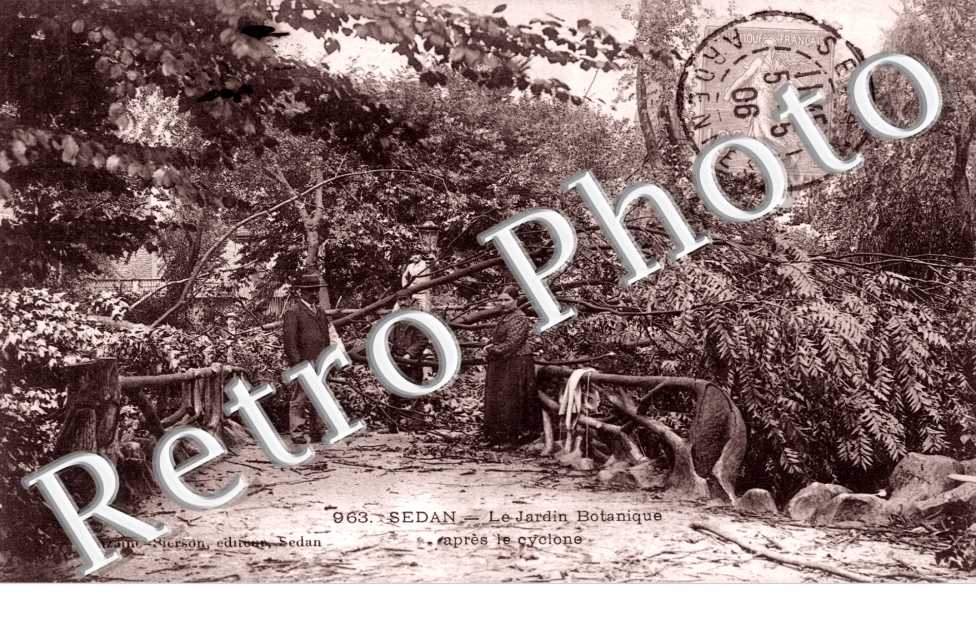 le Jardin Botanique apres le Cyclone