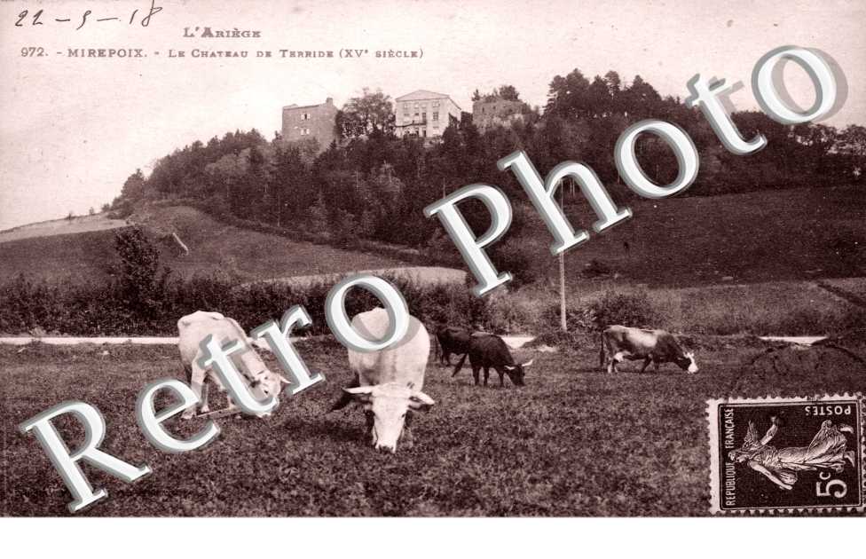 le chateau de Terride
