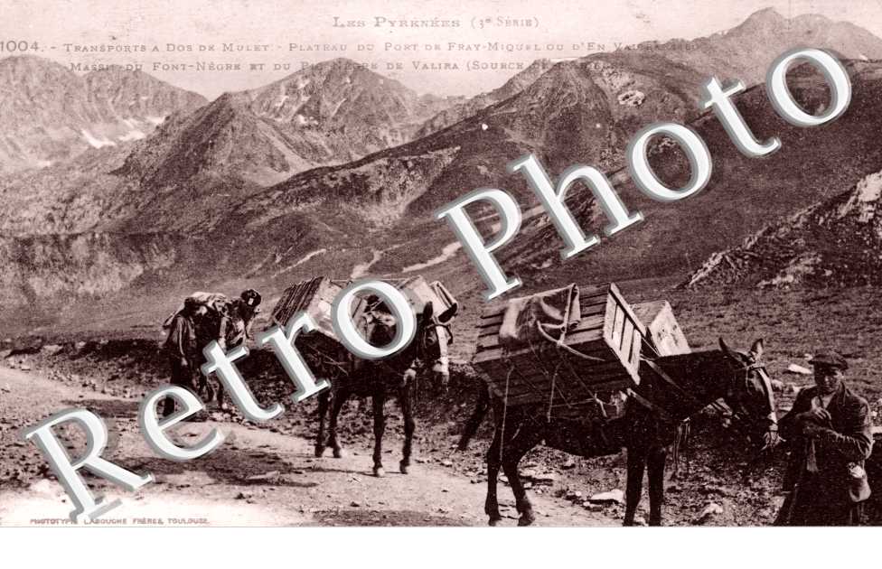 transport a dos de mulet