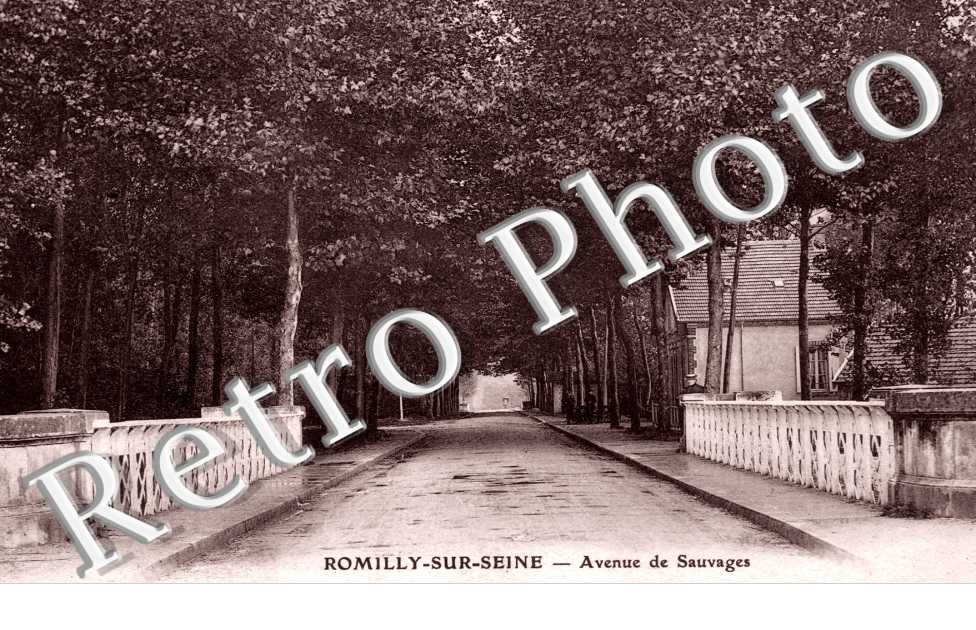 Avenue de Sauvages