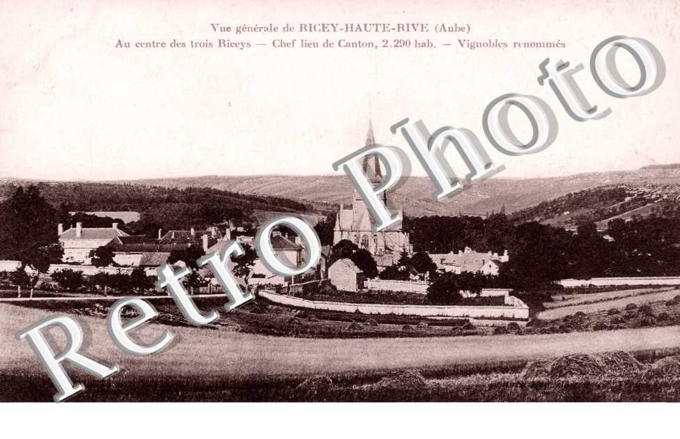 Vue Generale de Ricey-Haute-Rive, Vignobles renommes