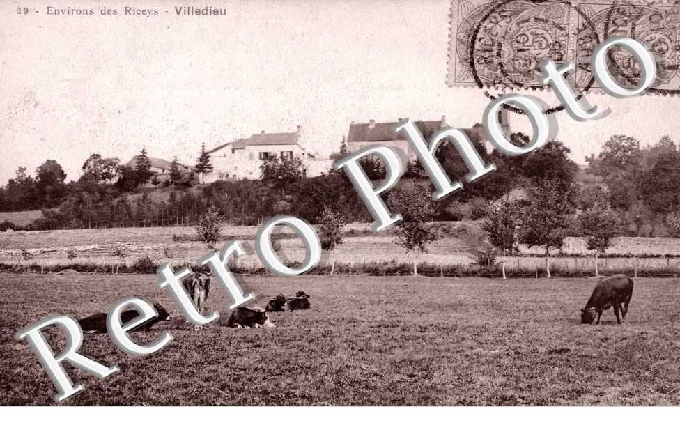 Villedieu