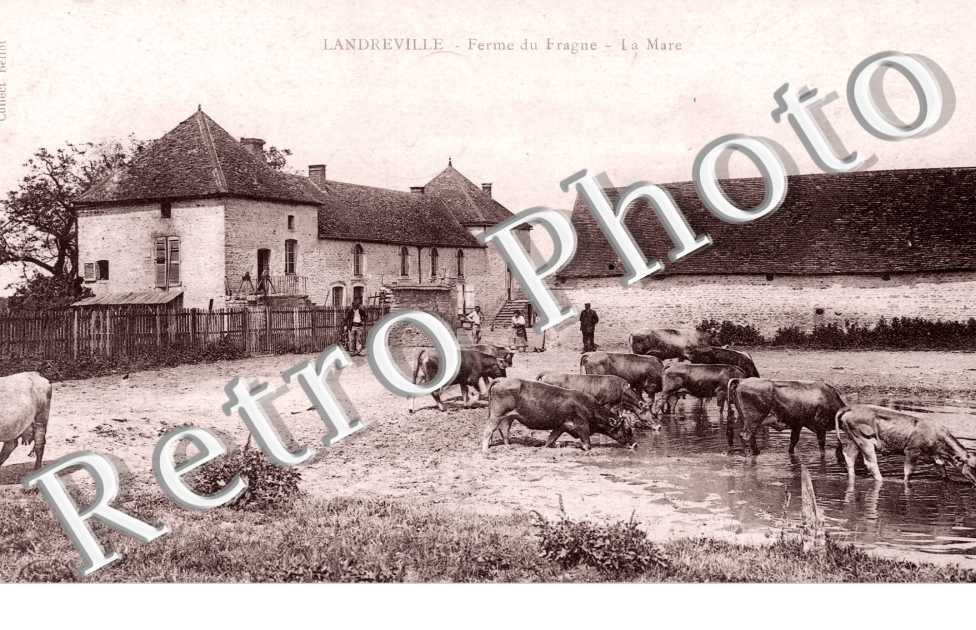 Ferme du Fragne, la Mare