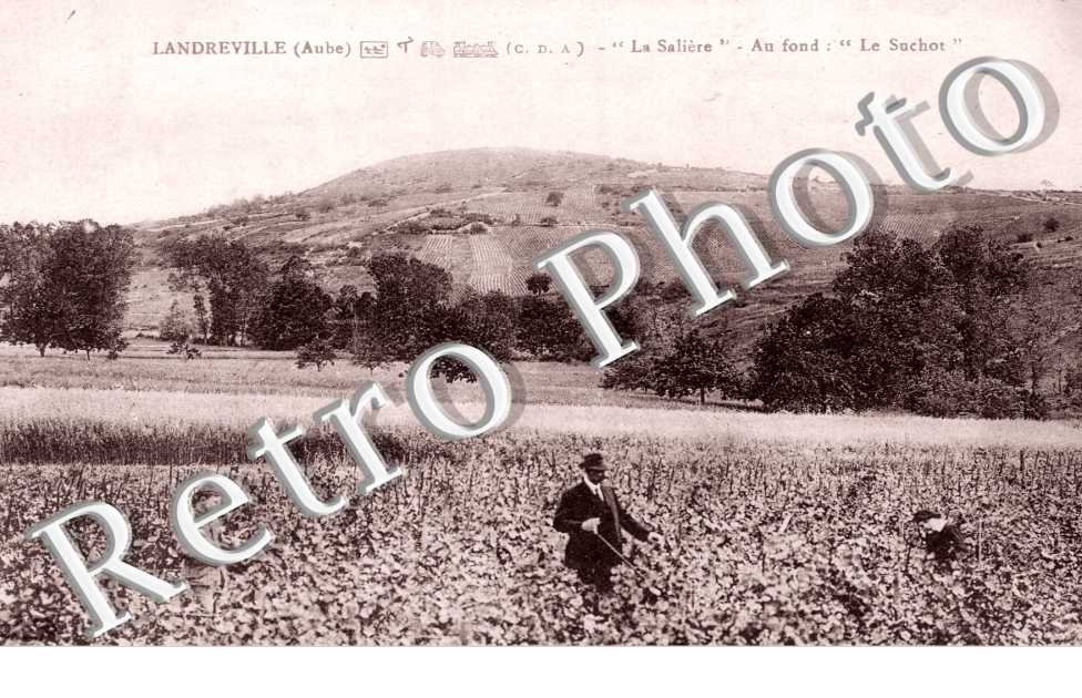 la Saliere - au fond le Suchot