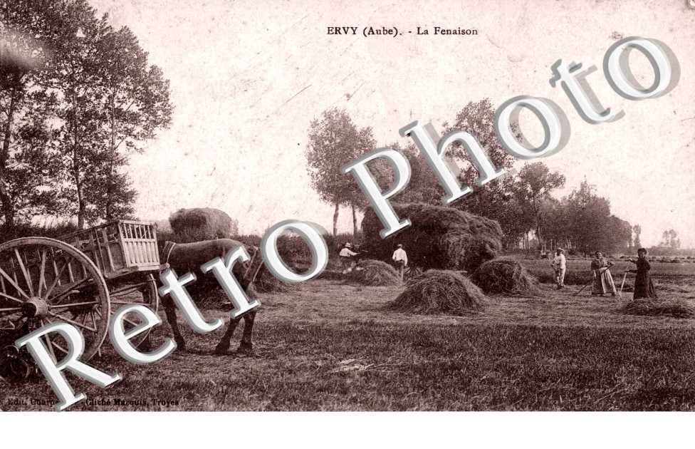 la fenaison