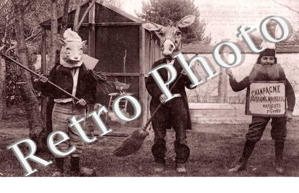 plainte d&#039;un vigneron