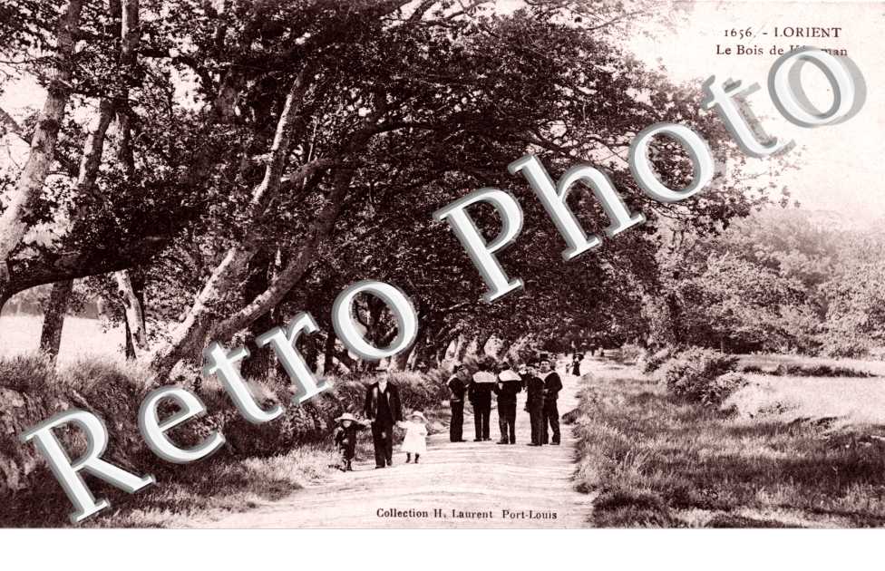 Le bois de Keroman
