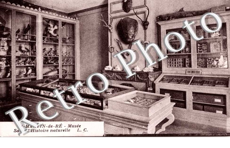 Musee Salle d&#039;Histoire Naturelle
