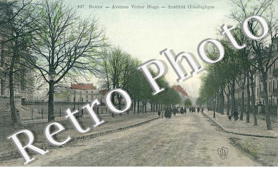 avenue Victor Hugo Institut Oenologique