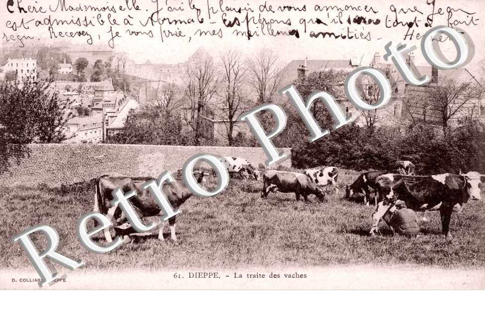 La Traite des Vaches