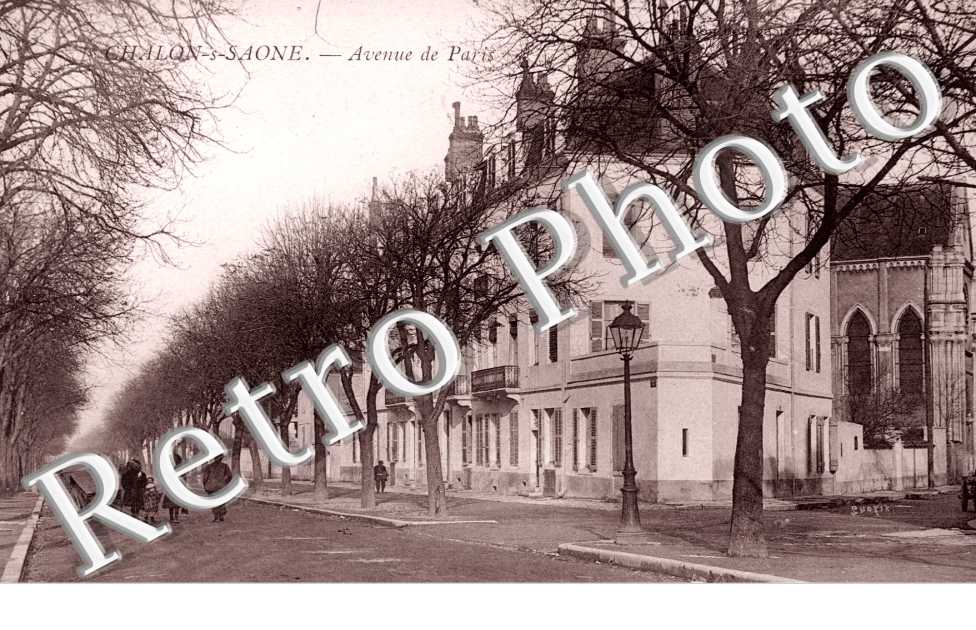 Avenue de Paris