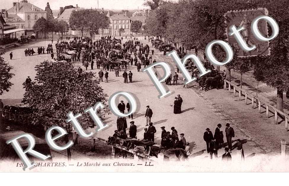le marche aux chevaux