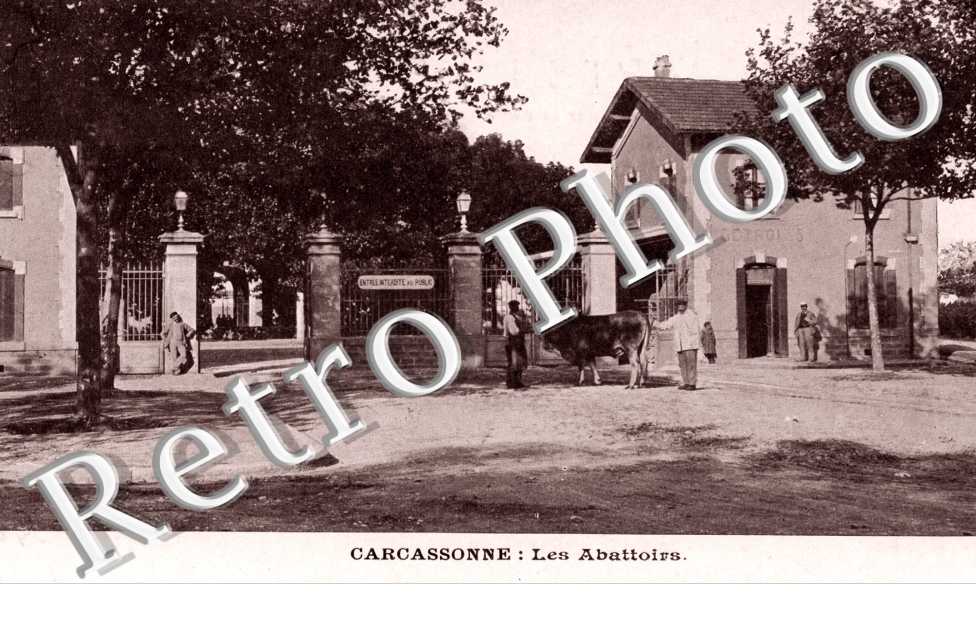 les abattoirs (vache)