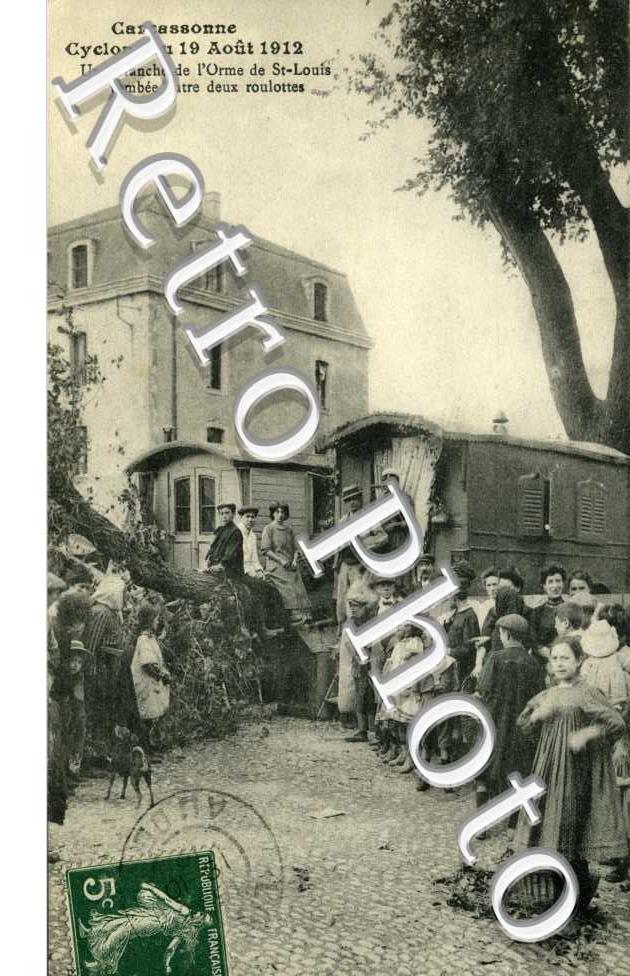 Cyclone du 19 Aout 1912 - une branche de l'Orme de Saint Louis tombée