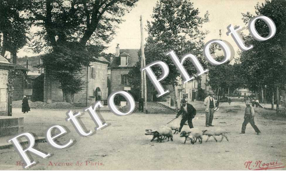 Avenue de Paris