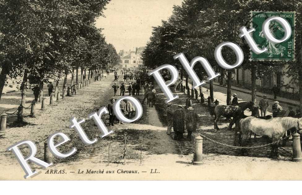 Le marche aux chevaux