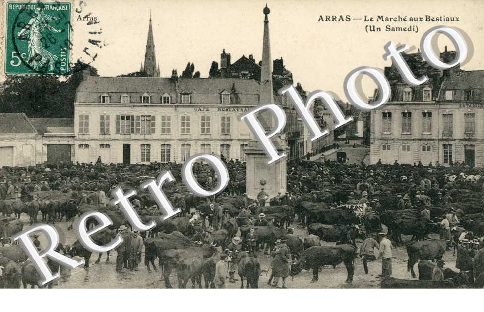 Le Marche aux Bestiaux