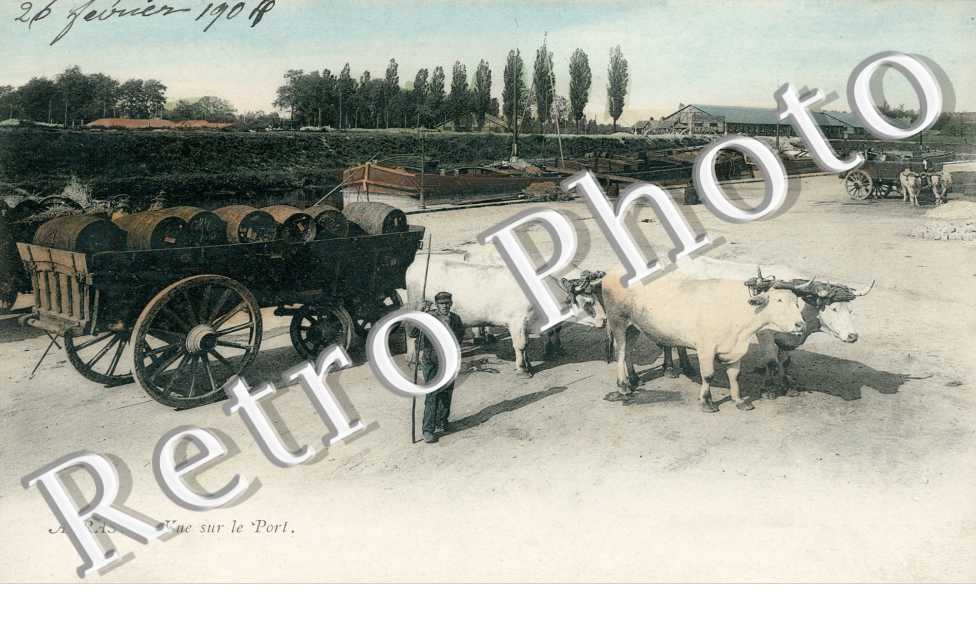 Vue sur le Port