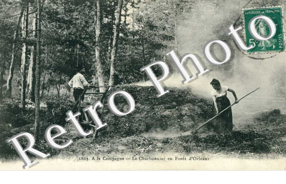 le charbonnier en foret d'orleans