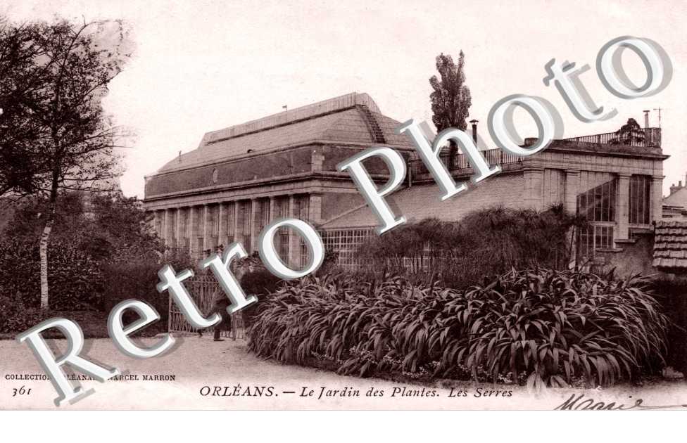 Le Jardin des Plantes - les serres