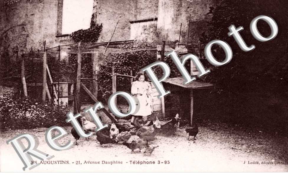 Les Augustins - 21 avenue Dauphine