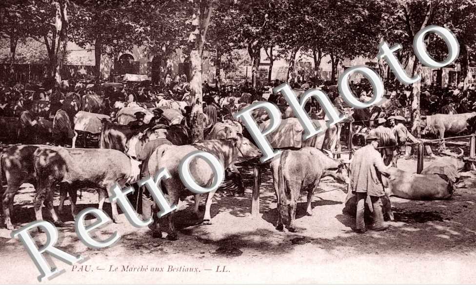 Marche aux Bestiaux