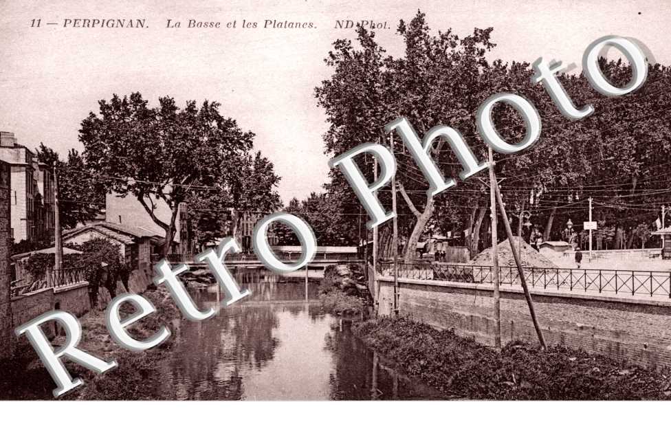 La Basse et les Platanes