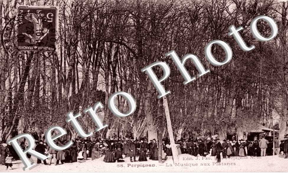 La musique aux platanes