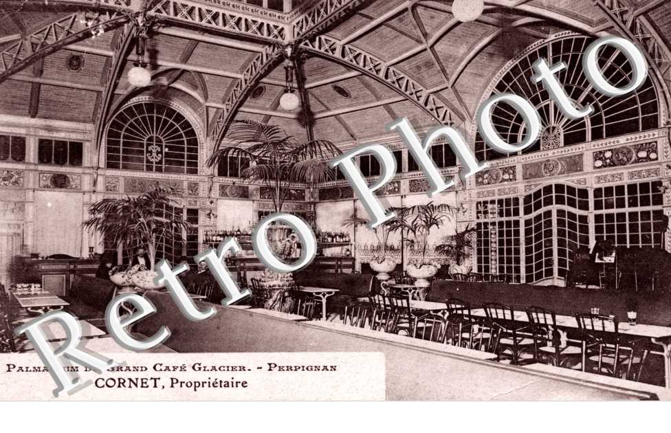 Palmarium du grand cafe glacier Cornet proprietaire