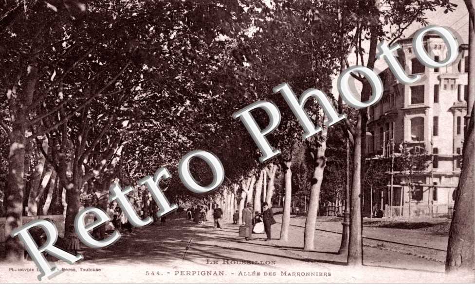 allee des Marronniers