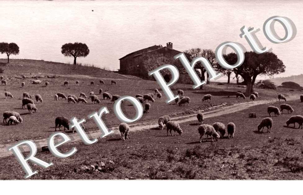 (Paysage champetre )