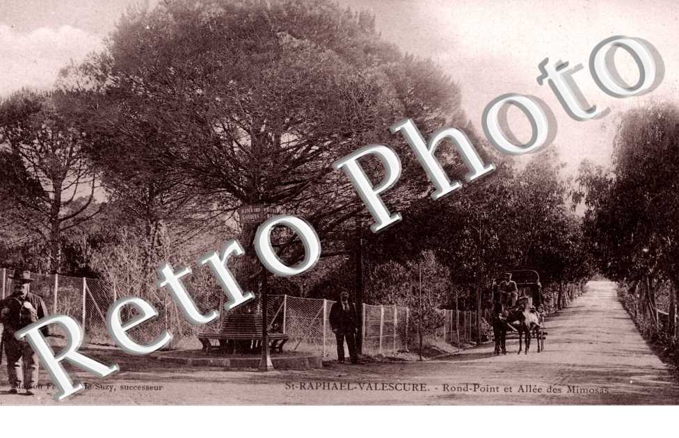 Rond point et allee des Mimosas