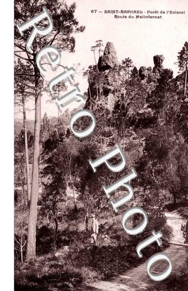 Foret de l&#039;Esterel