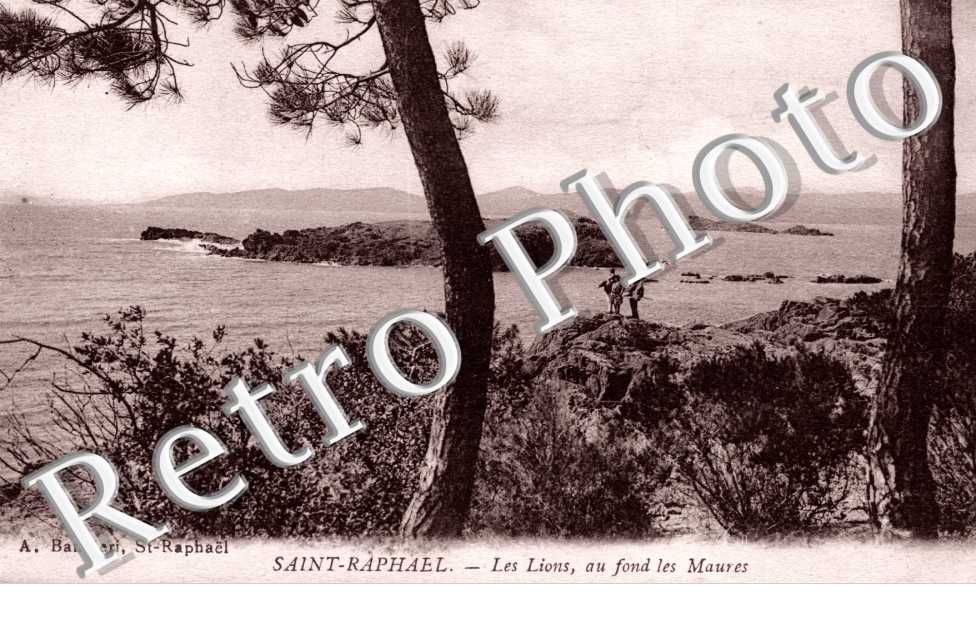 les lions au fond des Maures