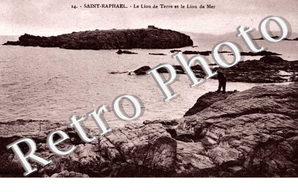 le Lion de terre et le lion de mer