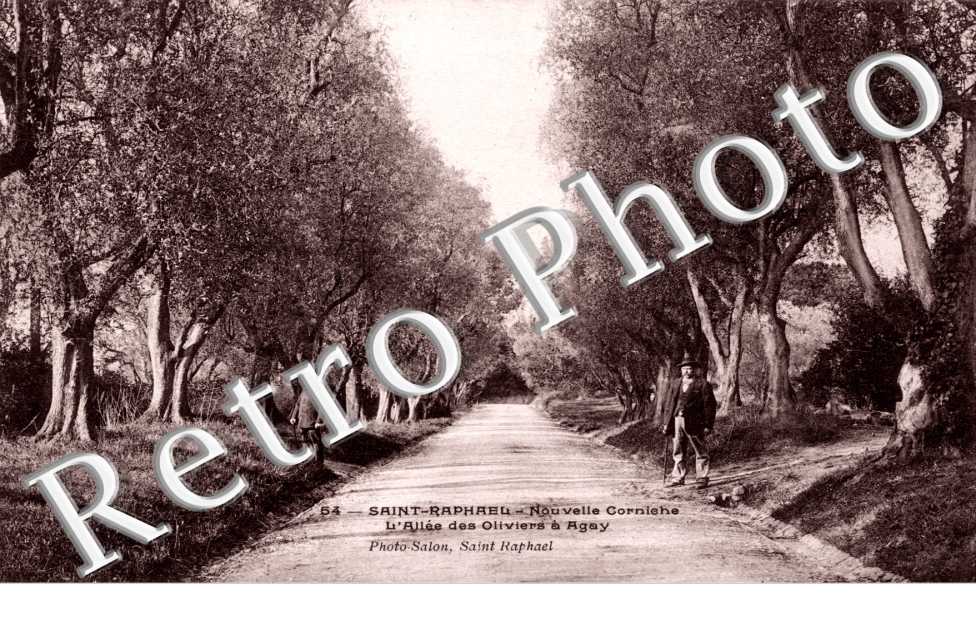 Allee des Oliviers