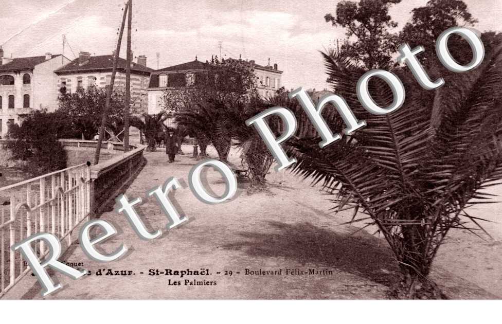 Boulevard Felix-Martin - les palmiers