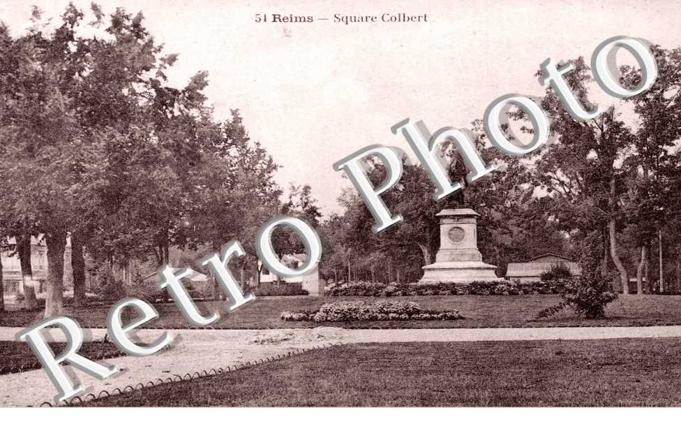 Square Colbert