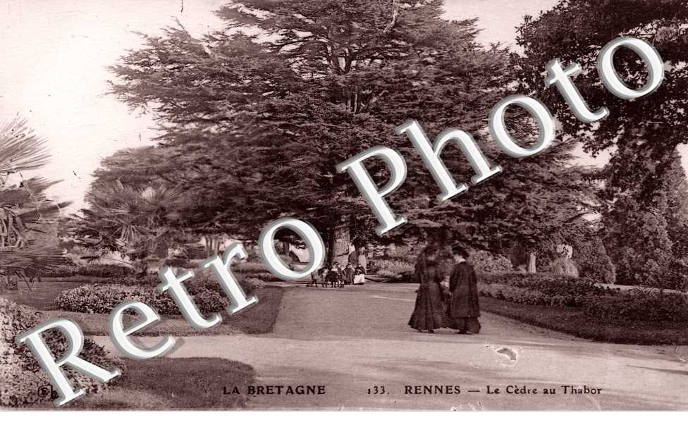 Le Cedre au Thabor