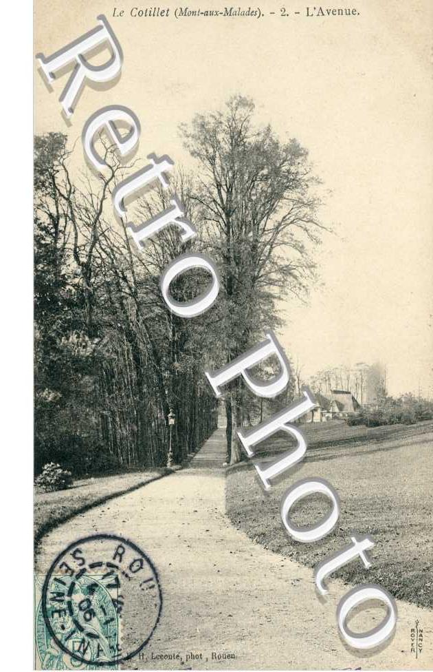 Le Cotillet - l'Avenue